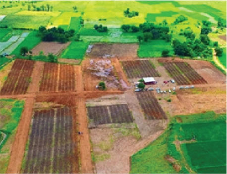 Is Buying Land a Good Investment? Here's What You Need to Know